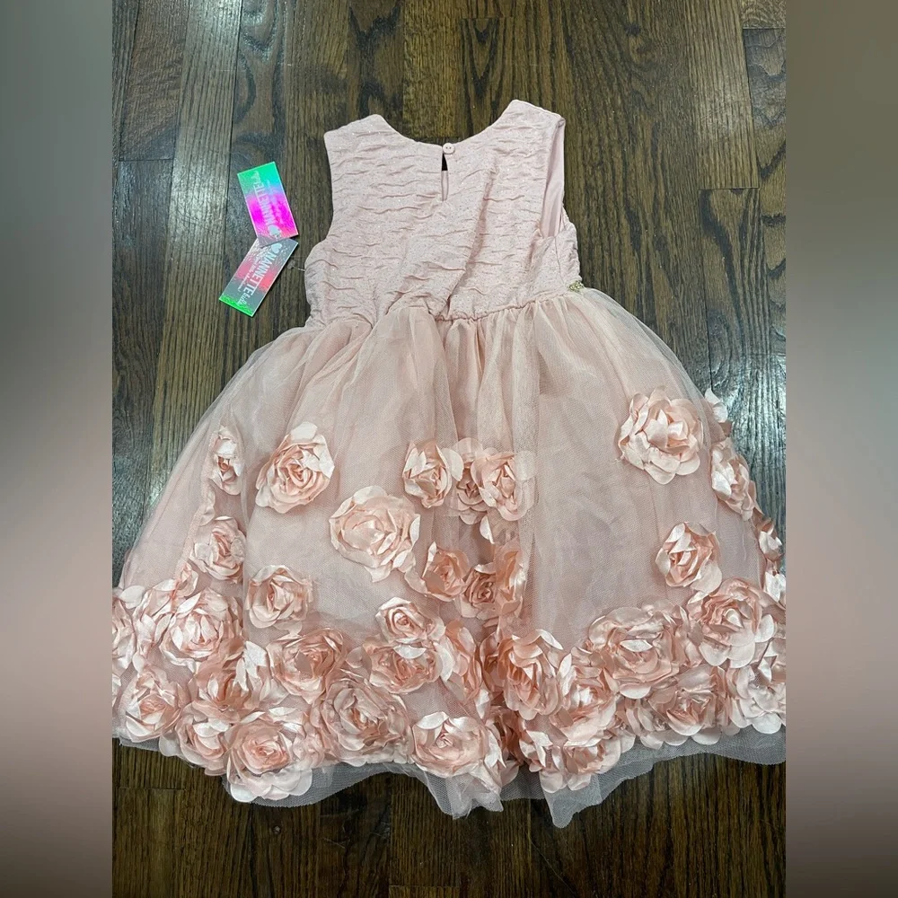 Nannette kids Blush Pink Rosette Dress size 5